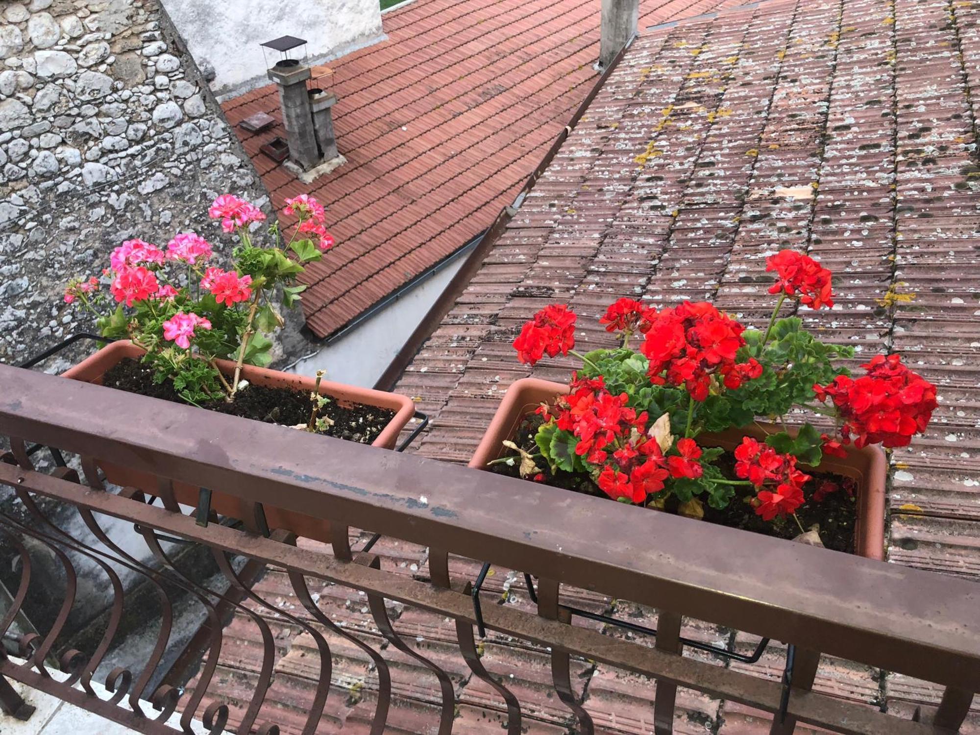 Bed And Breakfast Il Cavaliere Pozzilli Екстер'єр фото